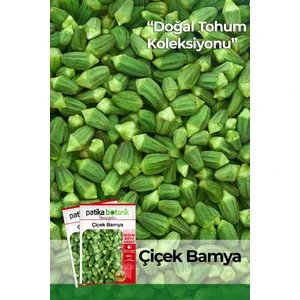 100 Adet Çiçek Bamya Tohumu