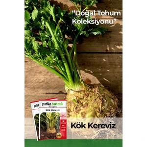 Patika Botanik 8.000 Adet Yerli Ata Kök Kereviz Tohumu