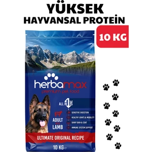 Herba Max Adult Kuzu Etli Yetişkin Köpek Maması 10 Kg
