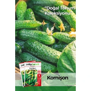 Patika Botanik 75 Adet Yerli Ata Kornişon (Turşuluk) Salatalık Tohumu