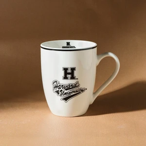 Harvard Kupa 350 ml Siyah