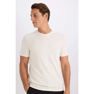 Slim Fit Dar Kesim Bisiklet Yaka Krinkıl Kısa Kollu Tişört D7225AX25SP