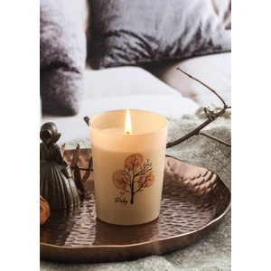 Shade Of Nature Elma Tarçın Kokulu Mum 100 gr.
