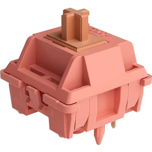 Rosewood 5pin (45 Adet) Linear Switch