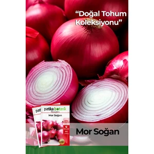Patika Botanik 500 Adet Mor Soğan Tohumu