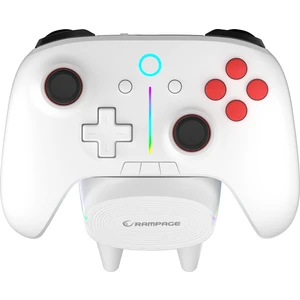 HYDRA PRO Beyaz BT + 2.4 GHz Şarj İstasyonlu PC Gamepad RGB Joypad