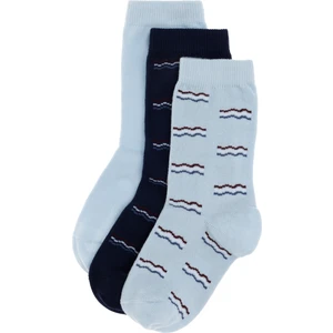 U.s. Polo Assn. Erkek Çocuk Açık Mavi Çorap (Soket) 50299299-VR003