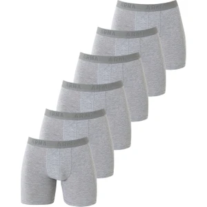 Arma Yıldız Erkek Gri Likralı Boxer 6'lı Paket