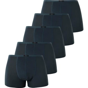 Erkek İnce Bel Lastikli Bambu Boxer Füme 5'li Paket