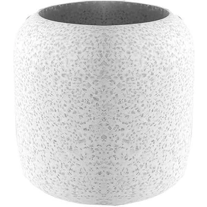 Pumı Diş Fırçalık