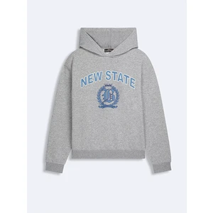 Baskılı Kapüşonlu Fermuarsız Regular Fit Gri SweatShirt