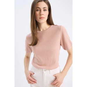 Regular Fit Basic Düz Bisiklet Yaka Kısa Kollu Triko Kazak E6810AX25SP