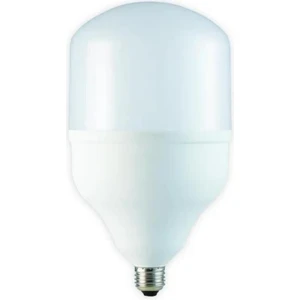 CT-4262 55W E27 LED Ampul Beyaz