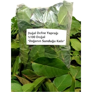 Doğal Taze Defne Yaprağı