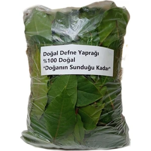 Doğal Taze Defne Yaprağı