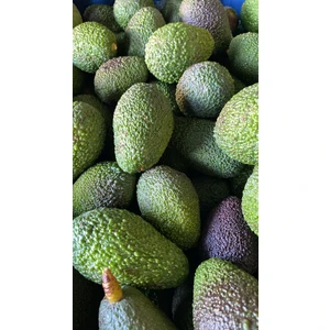 BRF Tropikal Has Avokado 1 kg