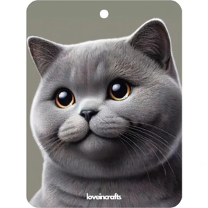 Lovein Crafts 10 Adet Premium Oto Araç Kokusu British Shorthair Otomobil Çift Taraflı Araba Kokusu