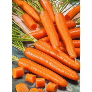 Aksaray Tohumculuk Sarı Havuç Tohumu 150 Adet Tohum