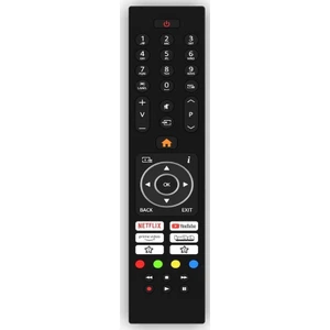43R754UA9 Android Tv Kumanda-Mikrofonsuz
