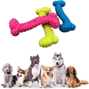 BUFFER® Tiny Kemik Oyuncağı Tırtıklı Yüzey Küçük Kemik Plastik Köpek Oyuncağı