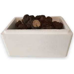 Gurme Trüf Taze Siyah Trüf Mantarı 20 Gr