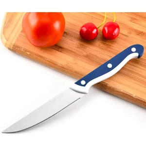 Çok Keskin Bıçak, kesme tarafı çelik, Mutfak Bıçağı, Çok Renkli 23CM