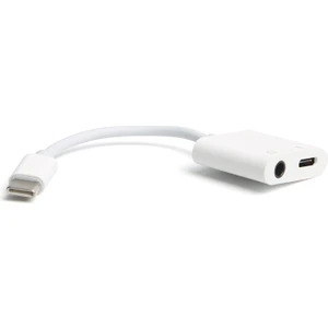 2 in 1 Type-C - 3.5mm Aux Ses ve Type-C Şarj Dönüştürücü (DK-AC-U31XAUC)