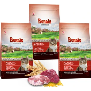 Renkli Taneli Dana Etli Yetişkin Kedi Maması 1,5 kg x 3