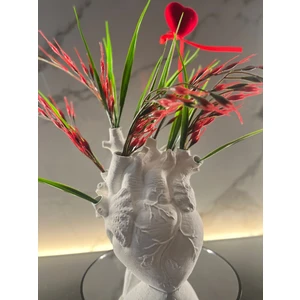 Anatomik Kalp Vazo 20  cm  (Boyanabilir ve Çiçekler Sete Dahil Değildir)