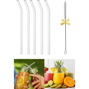 Termosilikat Isıya Dayanıklı Bardak Cam Pipeti Temizleme Fırçası  5 Adet Cam Pipet
