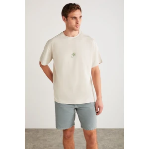 Denver Erkek Baskı Detaylı Oversize Bisiklet Yaka Kısa Kollu %100 Organik Pamuklu Taş Rengi T-shirt