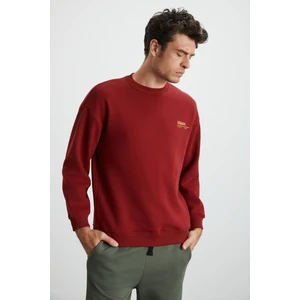 Ernest Erkek Yumuşacık Içi Polarlı Baskı Detaylı Organik Pamuk Oversize Bordo Sweatshirt