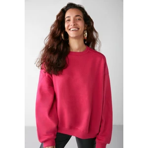 VANELTINA Kadın Bisiklet Yaka İçi Polarlı Oversize Fit Basic Pembe Sweatshirt