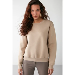 Vaneltına Kadın Içi Polarlı 3 Iplik Organik Pamuk Oversize Basic Bisiklet Yaka Vizon Sweatshirt