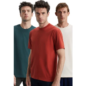 Cultıvated Erkek 3'lü Kalın Dokulu Regular %100 Organik Pamuk Vnly/kyeşil/krmt T-Shirt