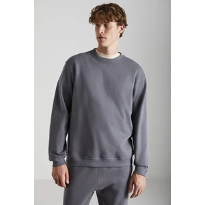 Adams Erkek Gri Sweatshirt