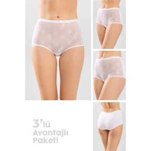 Kadın Pamuklu Dantelli Düz Bato Külot 3'lü Paket Beyaz