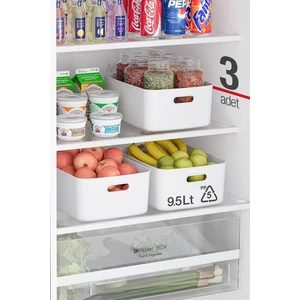 Freezer Box 3’lü Buzdolabı Saklama Kabı 9,5 Lt Düzenleyici Kutu, Organizer, Storage