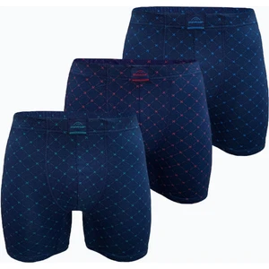 Erkek 3 Lü Lacivert Desenli Premium Collection Modal Uzun Boxer 3M250