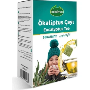 Okaliptus Küp Şeklinde Kış Çayı