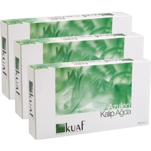 Yeşil Azulen Kalıp Ağda 3 Adet 400 ml