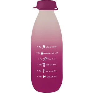 Performance Süt Şişesi 2'li