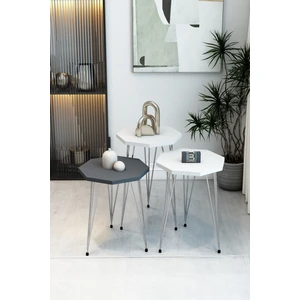 3'lü Sekizgen Zigon Sehpa Seti - Gümüş Metal Ayaklı, Modern & Şık Yan Sehpa, Dayanıklı Salon Ofis