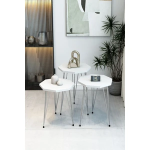 3'lü Sekizgen Zigon Sehpa Seti - Gümüş Metal Ayaklı, Modern & Şık Yan Sehpa, Dayanıklı Salon Ofis