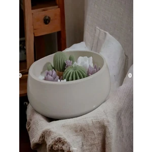 Magno Candles Saksıda 8'li Kaküs Seti Mum✨️