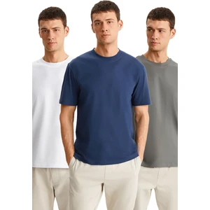 Cultıvated Erkek 3'lü Kalın Dokulu Regular %100 Organik Pamuk Byz/gri/laci T-Shirt