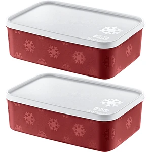 2'li Set No Frost Saklama Kabı Carmen 1600 ml