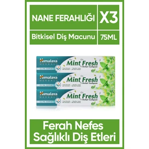 Mint Fresh Ferahlatıcı Diş Macunu, Bitkisel, Vejetaryen, Florürsüz, Parabensiz, 75 ml 3 Adet