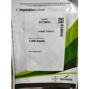 Svtd 8033 Oturak Hibrit Kırmızı Domates Tohumu 1.000 Adet