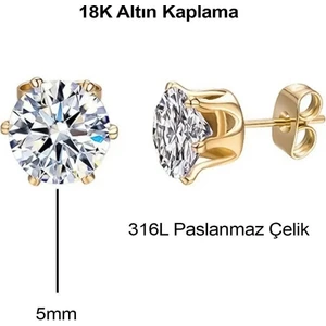 Çelik Tek Taş Küpe 18K Altın Kaplama Tek Taşlı Paslanmaz Çelik Küpe 5mm